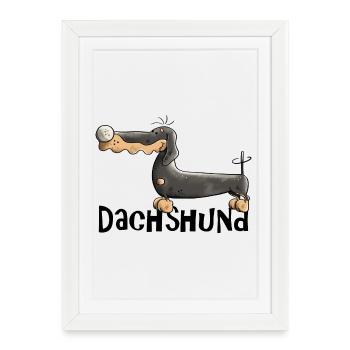 Desideria the Dachshund - Affiche encadrée (27 × 37 cm) - blanc - Devant