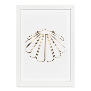 dessin chatoyant d’une coquille Saint-Jacques - Affiche encadrée (27 × 37 cm) - blanc - Devant