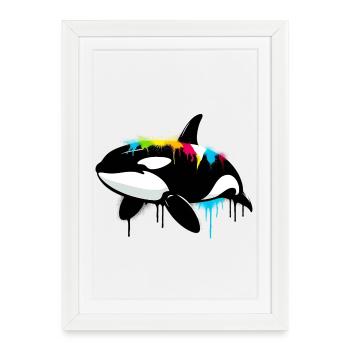 Killer whale - Framed poster (27 × 37 cm) - white - Front