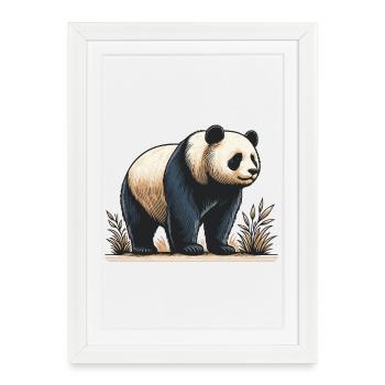 Panda - Framed poster (27 × 37 cm) - white - Front