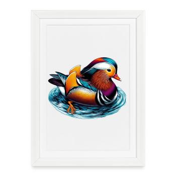 Canard mandarin - Affiche encadrée (27 × 37 cm) - blanc - Devant