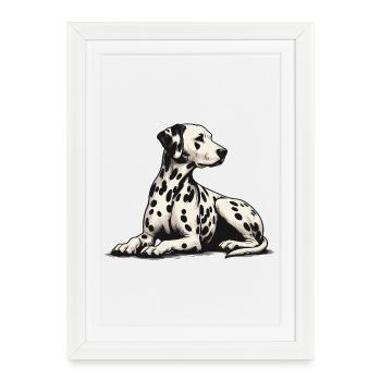 Dalmatian - Framed poster (27 × 37 cm) - white - Front