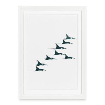 Banc de raies manta – Un monde sous-marin élégant - Affiche encadrée (27 × 37 cm) - blanc - Devant
