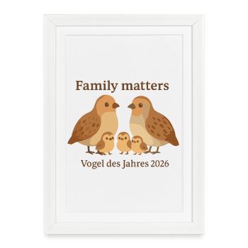 Partridge Family – Bird of the Year 2026 Family Mat - Framed poster (27 × 37 cm) - white - Front
