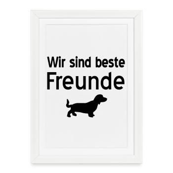 Dachshund - Framed poster (27 × 37 cm) - white - Front