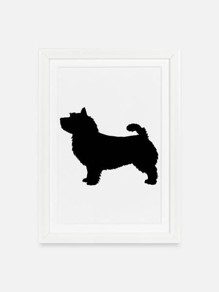 Norwich Terrier silhouette - Framed poster (27 × 37 cm) - white
