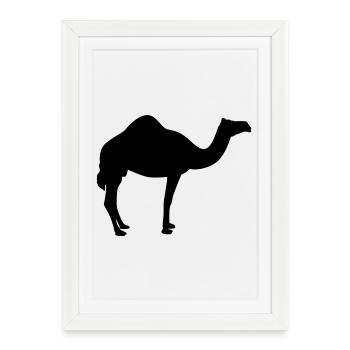 Kamel | Wüste | Dubai | Wüstenschiff - Affiche encadrée (27 × 37 cm) - blanc - Devant