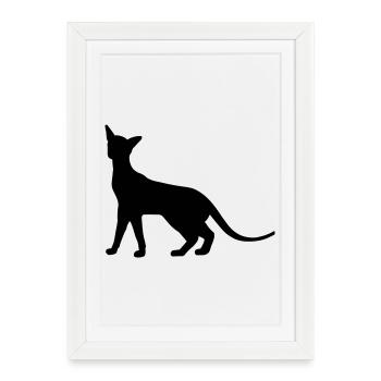 Siamese Cat - Framed poster (27 × 37 cm) - white - Front