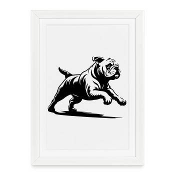 Bouledogue anglais - Affiche encadrée (27 × 37 cm) - blanc - Devant