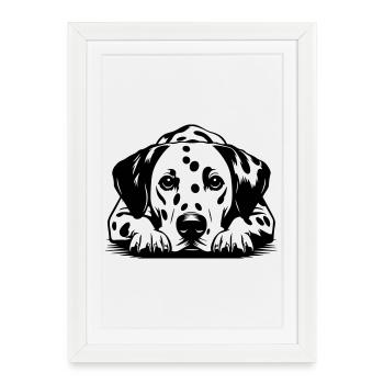 Dalmate - Affiche encadrée (27 × 37 cm) - blanc - Devant