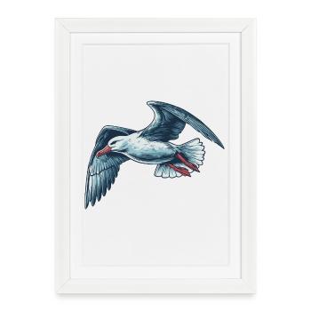 Albatross - Framed poster (27 × 37 cm) - white - Front