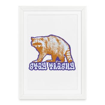 Stay Trashy – Raton laveur effronté - Affiche encadrée (27 × 37 cm) - blanc - Devant