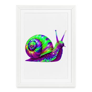 Escargot - Affiche encadrée (27 × 37 cm) - blanc - Devant