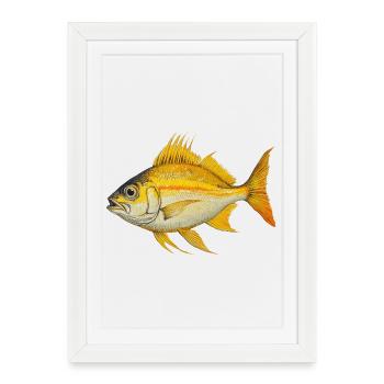 Illustration de poisson tropical jaune orange - Affiche encadrée (27 × 37 cm) - blanc - Devant