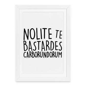 Nolite Te Bastardes Carborundorum - Affiche encadrée (27 × 37 cm) - blanc - Devant