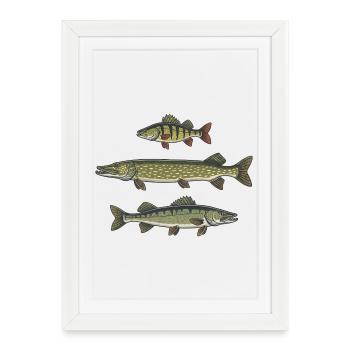 Perche, brochet, zander, pêche, pêche - Affiche encadrée (27 × 37 cm) - blanc - Devant