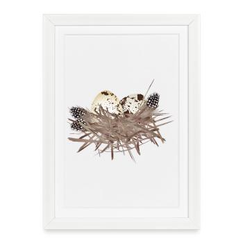 Œufs de caille dans le nid avec plumes de pintade - Affiche encadrée (27 × 37 cm) - blanc - Devant