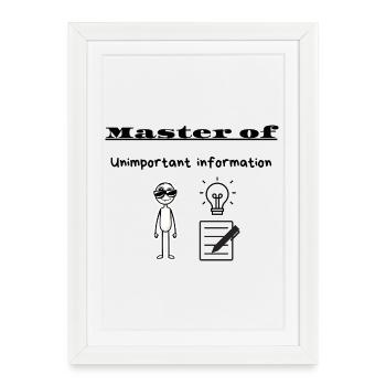 Master of Unimportant information - Framed poster (27 × 37 cm) - white - Front