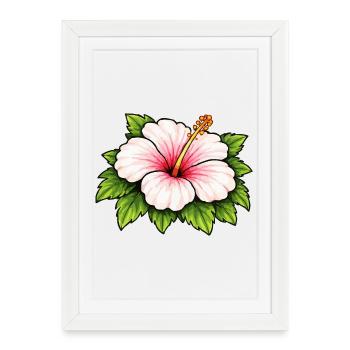 Floraison tropicale de l’hibiscus - Affiche encadrée (27 × 37 cm) - blanc - Devant