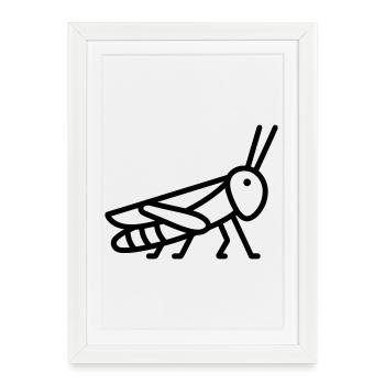 sauterelle - Affiche encadrée (27 × 37 cm) - blanc - Devant