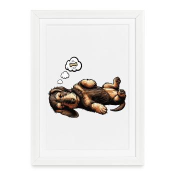 teckel teckel à poils durs propriétaire de teckel teckel - Affiche encadrée (27 × 37 cm) - blanc - Devant