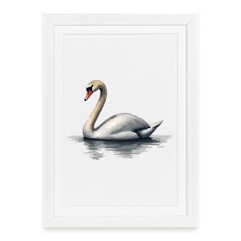 cygne - Affiche encadrée (27 × 37 cm) - blanc - Devant