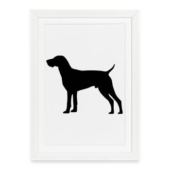 German Shorthaired Pointer - Framed poster (27 × 37 cm) - white - Front