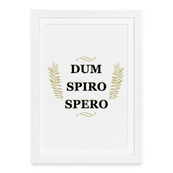 Dum Spiro Spero, citation latine - Affiche encadrée (27 × 37 cm) - blanc - Devant