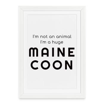 I'm not an animal - I'm huge Maine Coon - Affiche encadrée (27 × 37 cm) - blanc - Devant