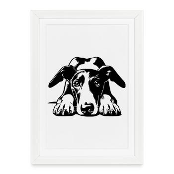 Galgo Kopf mit Pfoten - Gerahmtes Poster (27 × 37 cm) - Weiß - Vorne