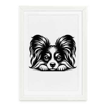 Papillon Head with Paws - Framed poster (27 × 37 cm) - white - Front