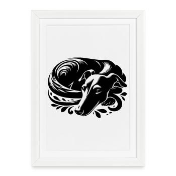 Galgo - Gerahmtes Poster (27 × 37 cm) - Weiß - Vorne