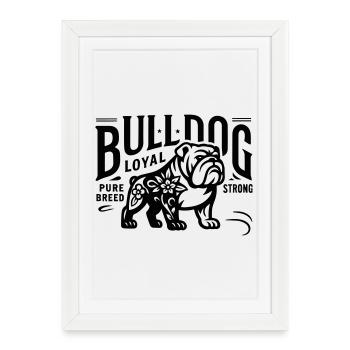 Bulldog Bully Dog Dogue Américain Great Dane bullys - Affiche encadrée (27 × 37 cm) - blanc - Devant