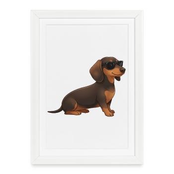 Teckel frais avec des lunettes de soleil, doux été fidèle - Affiche encadrée (27 × 37 cm) - blanc - Devant