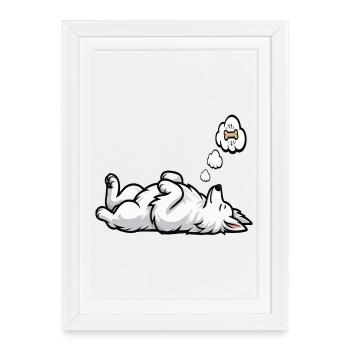 Chiens bergers blancs bergers - Affiche encadrée (27 × 37 cm) - blanc - Devant