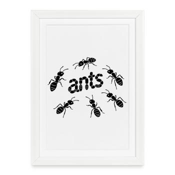 Fourmis - Affiche encadrée (27 × 37 cm) - blanc - Devant