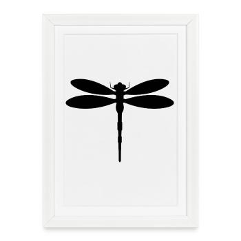 Libellule - Affiche encadrée (27 × 37 cm) - blanc - Devant