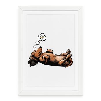 Teckel à poil long Teckel Teckel Teckel - Affiche encadrée (27 × 37 cm) - blanc - Devant