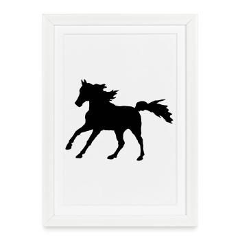 Cheval Pur-sang Arabian Gallop, noble Asil Arabian - Affiche encadrée (27 × 37 cm) - blanc - Devant