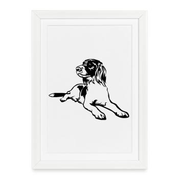 Münsterländer - Affiche encadrée (27 × 37 cm) - blanc - Devant