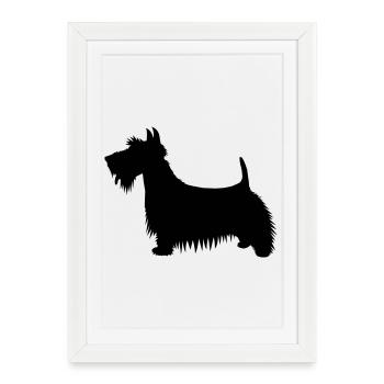 Une illustration de la silhouette d’un chien Scots Terrier - Affiche encadrée (27 × 37 cm) - blanc - Devant
