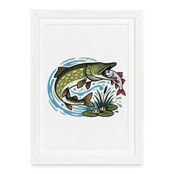Pike catches roach - Framed poster (27 × 37 cm) - white - Front