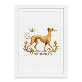 Libérez le Galgo - Broderie n°01 - Affiche encadrée (27 × 37 cm) - blanc - Devant