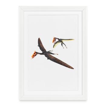 Dsungaripterus – pterosaurs of prehistoric times - Framed poster (27 × 37 cm) - white - Front
