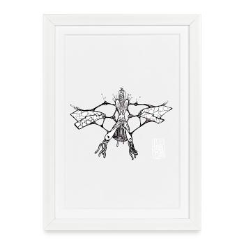 Métazoaire Libelluloïdae - Affiche encadrée (27 × 37 cm) - blanc - Devant