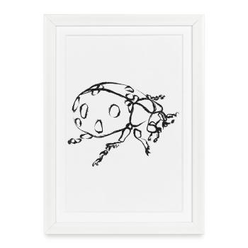 Black ladybug – Insect illustration - Framed poster (27 × 37 cm) - white - Front
