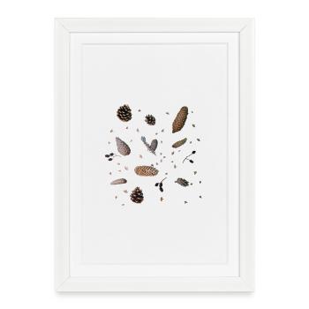 Cônes, botanique - Affiche encadrée (27 × 37 cm) - blanc - Devant