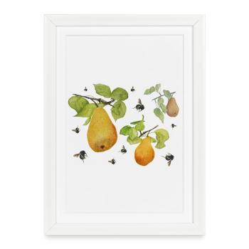 Pears and bumblebees - Framed poster (27 × 37 cm) - white - Front