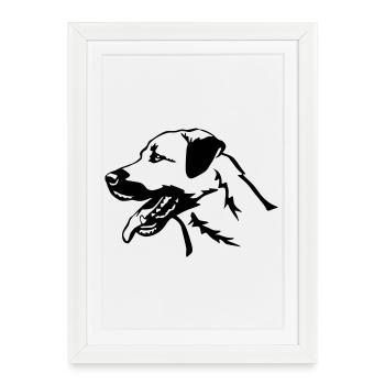 Kangal head - Framed poster (27 × 37 cm) - white - Front