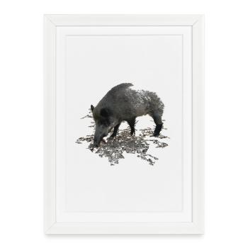 Wild boar - Framed poster (27 × 37 cm) - white - Front